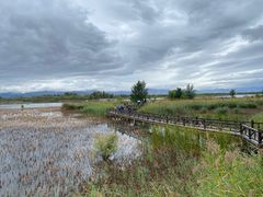 -野鸭湖国家湿地公园