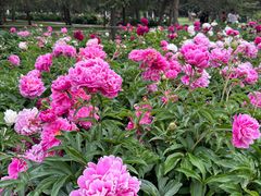 -长春公园(普阳街道)