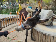 -水上乐园·欢乐世界