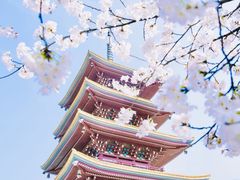 -巴公房子