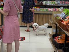 -洋洋广场(南街店)