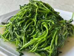 -津津食品店