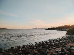 -深圳湾公园(南山区)