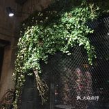 尤其是当初的汉堡。当然现在太原的好吃汉堡店还是蛮多的