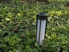 -棒棰岛宾馆景区