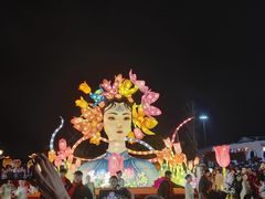 -荷兰花海