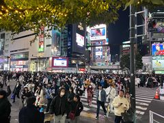 -涩谷全向十字路口