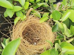 -广州锦绣香江度假别墅