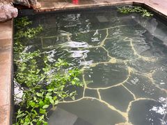 -昆明柏联SPA温泉