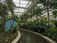 -南宫五洲植物乐园