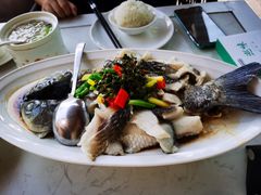 -巡味顺德菜(欢乐海岸购物中心店)