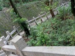 -森林公园(尖草坪区)