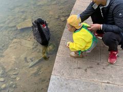 -湖泉半山温泉(湖泉生态园)