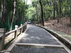-灵岩山风景区