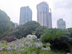 -北外滩滨江绿地