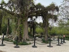 -石家庄市植物园