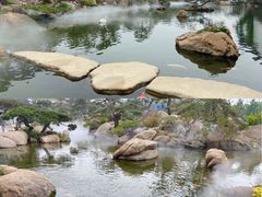 -罗红摄影艺术馆