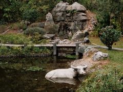 -深圳国际园林花卉博览园