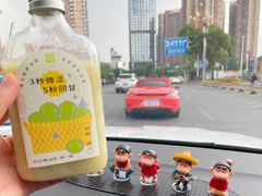 霸气玉油柑-奈雪的茶(红谷滩万达广场店)