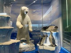 -国家自然博物馆