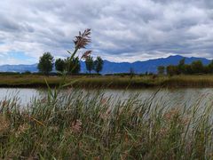 -野鸭湖国家湿地公园