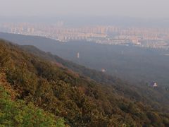 -紫金山山顶公园