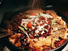 老板恋上鱼-老板恋上鱼(高新万达店)