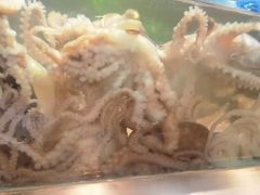 -V-ONE西雅图海鲜自助餐厅(仓山万达广场店)