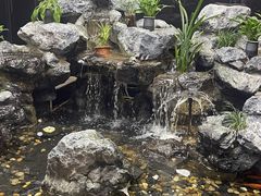 -水立方国际汤泉(六一中路店)