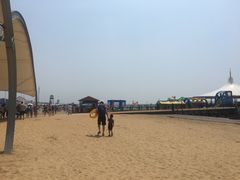 -碧海金沙