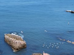 -长岛南北长山旅游景区