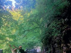 -九鼎铁刹山风景区