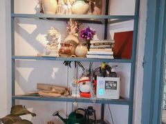 -喵屿·大理花园猫咖