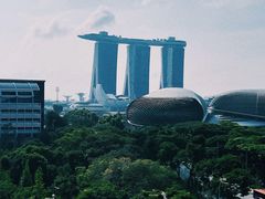 -新加坡瑞士史丹福酒店