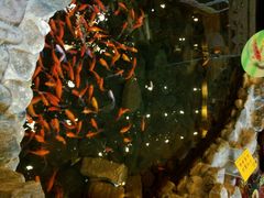 -舜耕山庄四时万和自助餐厅