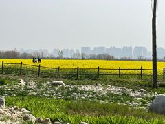 -汉长安城未央宫国家考古遗址公园