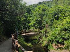 -马峦山郊野公园