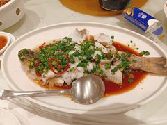 -金河半岛园林酒家(金融城店)