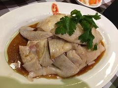 -文东记(马里士他路)