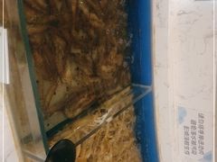 -澜悦港海鲜体验主题餐厅