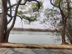 -东湖落雁景区