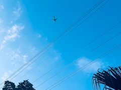 -重庆海昌加勒比海水世界