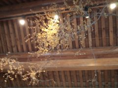 -曲廊院(东四十一条店)