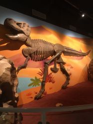 -北京科学中心儿童乐园