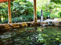 -厦门日月谷温泉渡假村