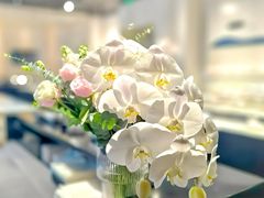 -黑天鹅蛋糕 · 下午茶(亮马桥官舍店)