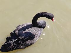 -艾溪湖湿地公园