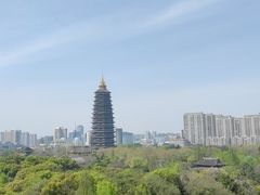 -红梅公园