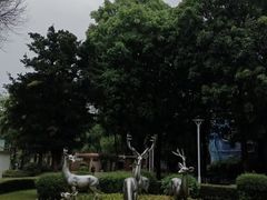 -金砂公园