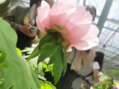 -洛阳市隋唐城遗址植物园